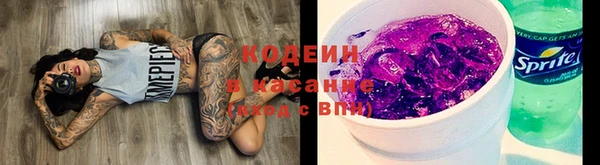 крисы Карпинск