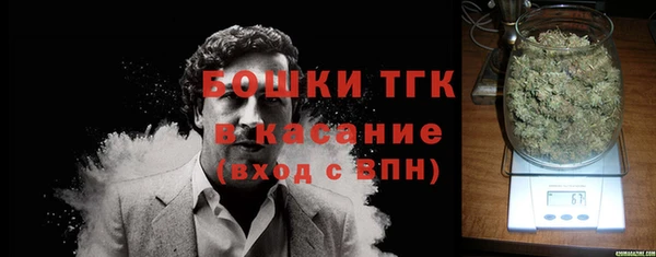 крисы Карпинск