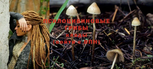 крисы Карпинск