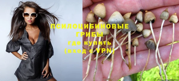 mix Касимов